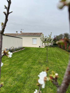 Photo de galerie - Paysagiste - Aménagement du jardin