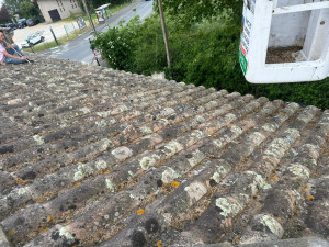 Photo de galerie - Couverture - Toiture