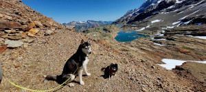 Photo de galerie - On part aussi en montagne 