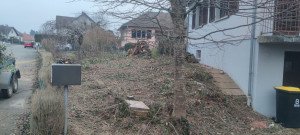 Photo de galerie - Coupe d'arbres et arbustes