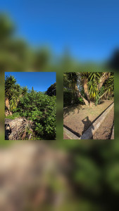 Photo de galerie - Défrichage, on redonne un coup de frais a se jardin , avant après 