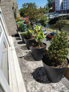 Photo de galerie - Paysagiste - Aménagement du jardin