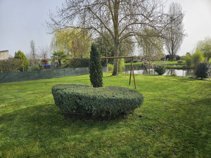 Photo de galerie - Taille de conifères et tonte.