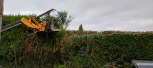 Photo de galerie - Descente de 70 cms hauteur et légère coupe côté.