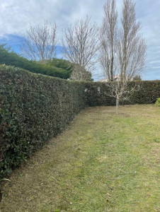 Photo de galerie - Taille de haie 