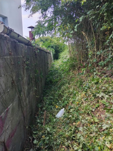 Photo de galerie - Débroussailler et coup arbre 