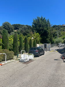 Photo de galerie - Taille de haies et d'arbustes