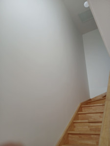 Photo de galerie - Réfection cage d escalier 