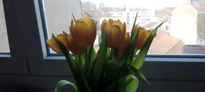 Photo de galerie - Pour collège et avant 