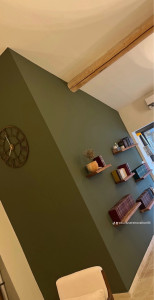 Photo de galerie - Peinture bibliothèque vert nomade 