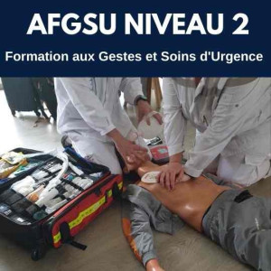 Photo de galerie - FORMATION A U X GESTES ET SOINS D'URGENCE D