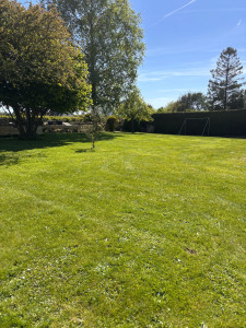 Photo de galerie - Tonte de pelouse 