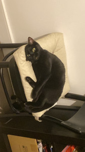 Photo de galerie - Au repos