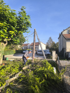 Photo de galerie - Abattage 