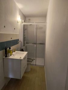 Photo de galerie - Création douche italien à la place de wc ( enduit béton minéral, pose paroi de douche, pose de wc broyeur, .. colonne de douche peinture murs et plafonds.