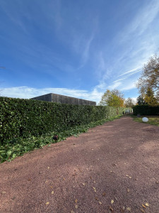 Photo de galerie - Taille de laurier 