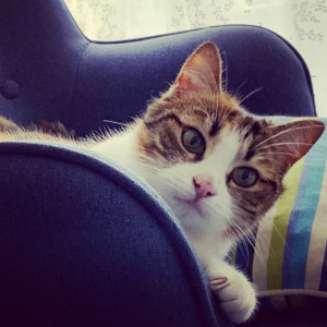 Photo de galerie - Mia