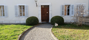 Photo de galerie - Taille en boule