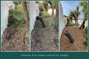Photo de galerie - Transformation d’un espace paysager.