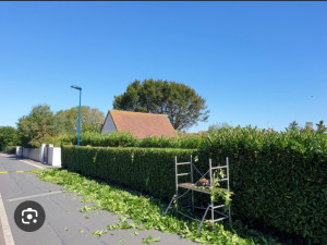 Photo de galerie - Paysagiste - Aménagement du jardin