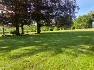 Photo de galerie - Tonte