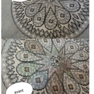 Photo de galerie - Nettoyage tapis moquettes (injection extraction)