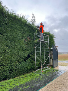 Photo de galerie - Taille en hauteur + protection des cailloux au sol 