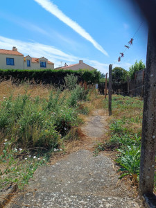 Photo de galerie - Remise en état de terrain pour vente 