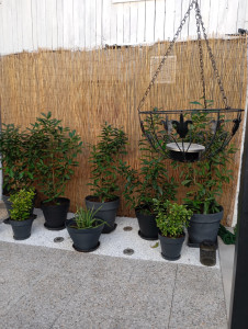 Photo de galerie - Beau ménage