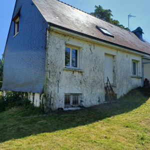 Photo de galerie - Taille de haies et d'arbustes