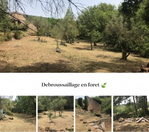 Photo de galerie - Tonte de pelouse - Débroussaillage