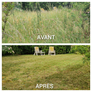 Photo de galerie - Débroussaillage et tonte de pelouse