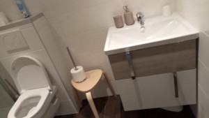 Photo de galerie - 
Nettoyage en profondeur des toilettes et de la douche