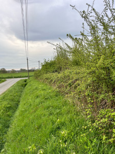 Photo de galerie - Avant 