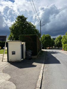 Photo de galerie - Taille de thuya 