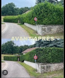 Photo de galerie - Entretien jardin complet 