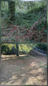 Photo de galerie - Débroussaillage et élagage sur la commune de Léogeats 