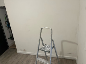 Photo de galerie - Ratissage avant la mise en peinture 