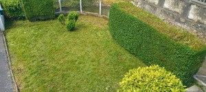 Photo de galerie - Entretien de jardin