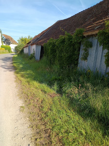 Photo de galerie - Avant 