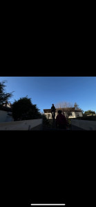 Photo de galerie - Elagage et coupe d'arbres