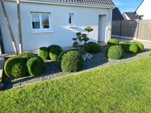 Photo de galerie - Elagage et coupe d'arbres