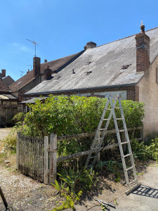 Photo de galerie - Taille de haies et d'arbustes