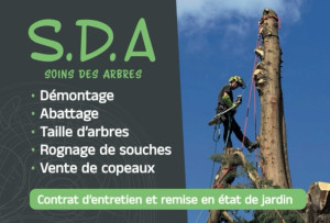 Photo de galerie - Entretien 