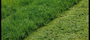 Photo de galerie - Terrain fais chez un particulier 