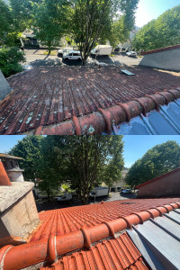 Photo de galerie - Nettoyage de toiture 