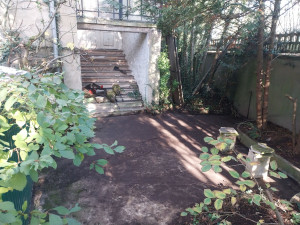 Photo de galerie - Taille de haies et d'arbustes