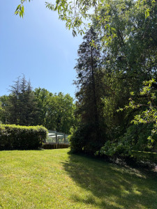 Photo de galerie - C