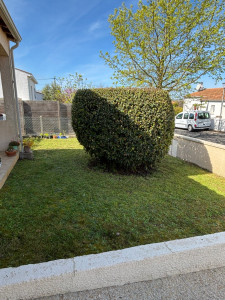 Photo de galerie - Elagage 