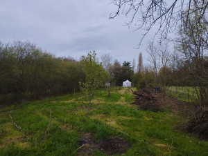 Photo de galerie - Nettoyage d'un terrain en friche pour préparation de planches de cultures
